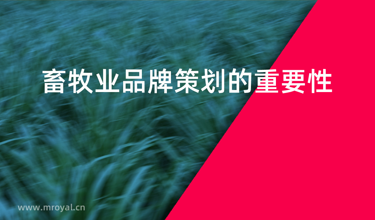 畜牧業(yè)品牌策劃的重要性，畜牧業(yè)品牌化是提高市場(chǎng)占有率重要手段